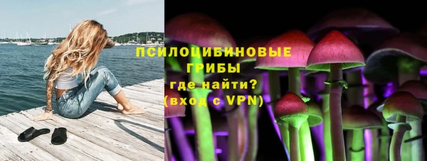 тгк Аркадак