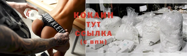 твердый Арсеньев