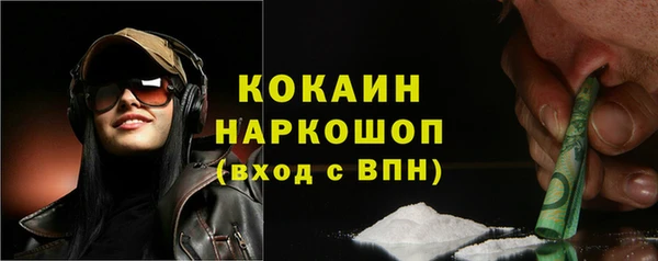 твердый Арсеньев