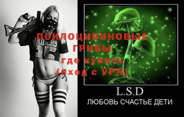 твердый Арсеньев
