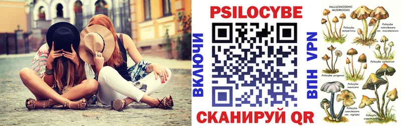 Галлюциногенные грибы Psilocybine cubensis купить наркоту Нижний Тагил